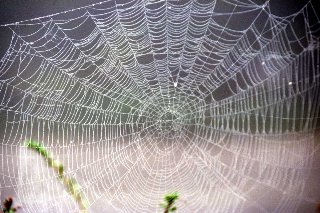 actitudes ante la vida